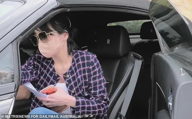 悉尼,杨兰兰的替身出现了